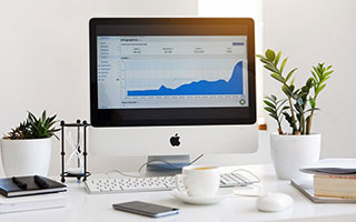 疯狂农庄 疯狂农庄全集免费观看